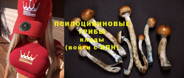 амфетамин Каменногорск